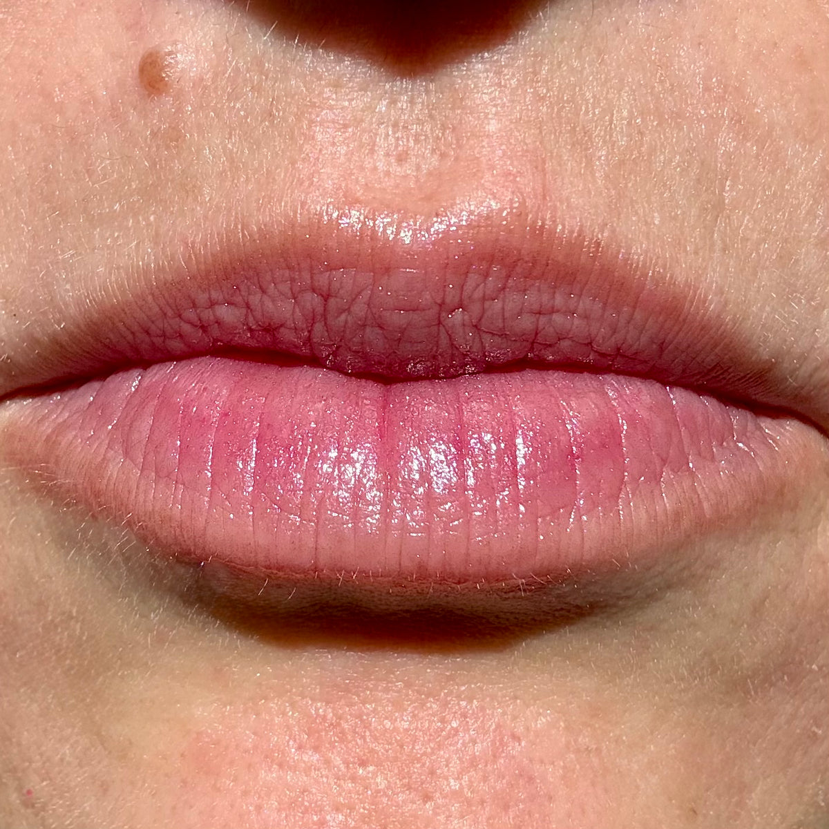 Close-up of lips wearing Plum Noir tinted lip balm by Noble Skin Co., a muted rose-pink with soft depth and natural shine