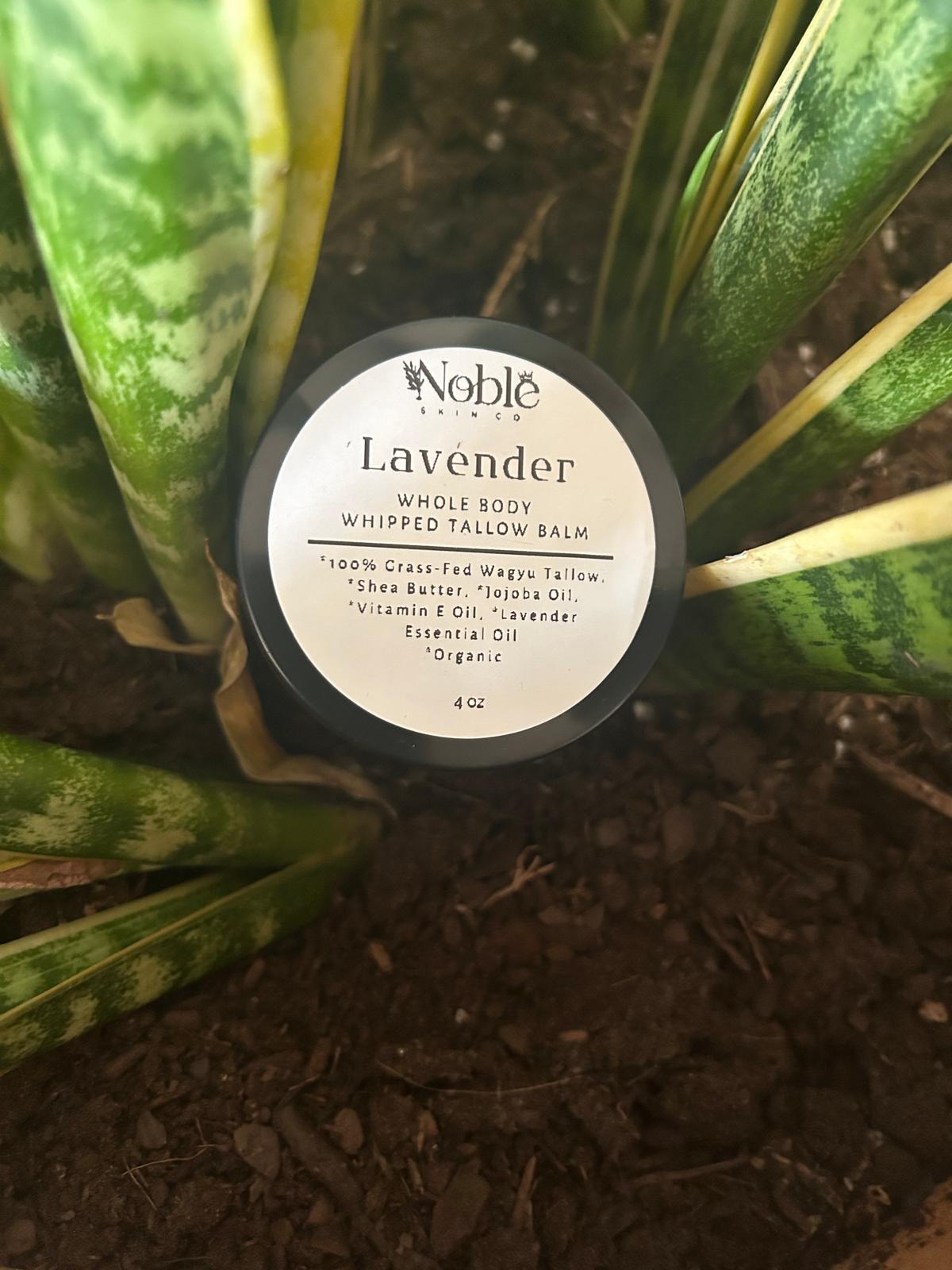 Lavender Whipped Tallow Face and Body Cream